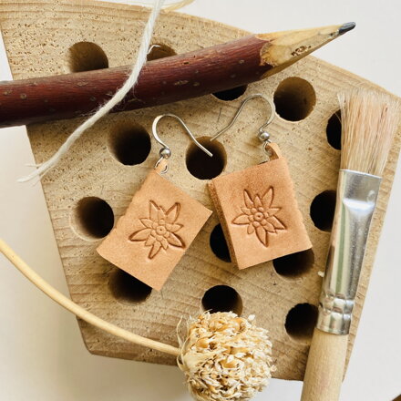 Náušnice Knihy Plesnivec